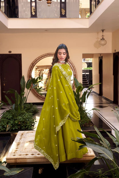 Star Georgette Embellishment With Pearl Coding And Sequins Embroidery Work